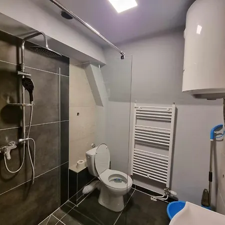 Suvo Vrelo Sa Unutrasnjim Bazenom I Saunom *