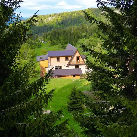 Suvo Vrelo Sa Unutrasnjim Bazenom I Saunom Villa *